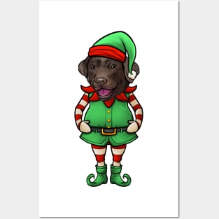 Chocolate Labrador Retriever Christmas Elf Posters and Art